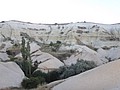 DSC03227.JPG