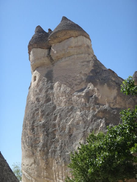 DSC03405.JPG