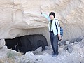 DSC03317.JPG