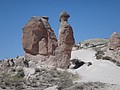 DSC03390.JPG