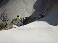 DSC03411.JPG