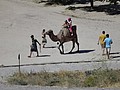 DSC03414.JPG