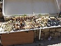 DSC03420.JPG