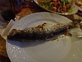 DSC03480.JPG