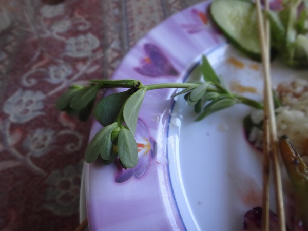 DSC03586.JPG