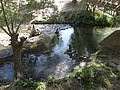 DSC03493.JPG