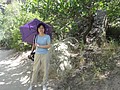 DSC03506.JPG