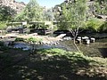 DSC03520.JPG