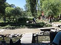 DSC03529.JPG