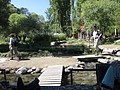 DSC03530.JPG