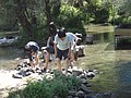 DSC03536.JPG