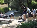 DSC03538.JPG