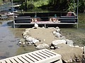 DSC03542.JPG