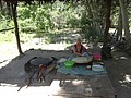 DSC03546.JPG