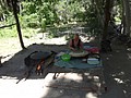 DSC03548.JPG