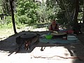 DSC03550.JPG