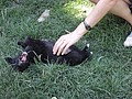 DSC03555.JPG