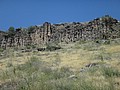DSC03557.JPG
