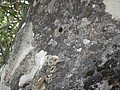 DSC03559.JPG