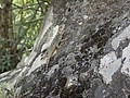 DSC03560.JPG