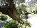 DSC03564.JPG