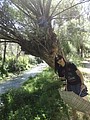 DSC03565.JPG