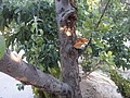 DSC03613.JPG