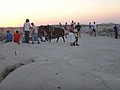 DSC03616.JPG