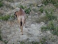 DSC03662.JPG