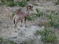 DSC03663.JPG