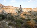 DSC03664.JPG