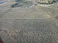 DSC03707.JPG