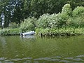 DSC03876.JPG