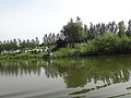 DSC03881.JPG