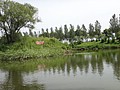 DSC03882.JPG