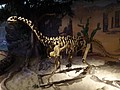 DSC03893.JPG