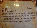 DSC03925.JPG