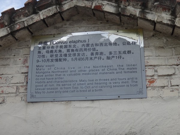 DSC04127.JPG