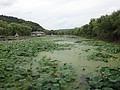 DSC04076.JPG