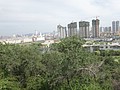 DSC04078.JPG