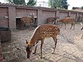 DSC04108.JPG