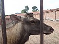 DSC04111.JPG