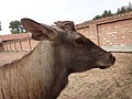 DSC04112.JPG
