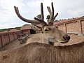 DSC04113.JPG