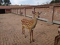 DSC04116.JPG