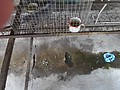 DSC04119.JPG