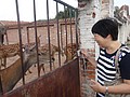 DSC04126.JPG