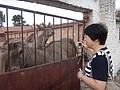 DSC04128.JPG