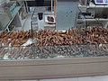DSC04134.JPG