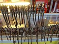 DSC04145.JPG